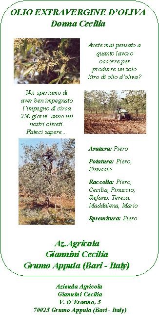 Olio Extra Vergine di Oliva - Donna Cecilia - Dal frutto di antichi alberi pugliesi alla vostra tavola