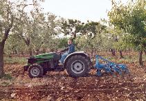 principianti allo sbaraglio