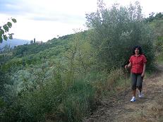 Panicale trekking