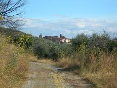 Panicale trekking