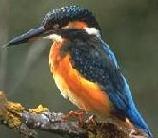 Lago Montepulciano in Valdichiana