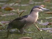 Oasi Lipu Montepulciano