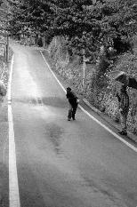 n'te s'� messo storto?