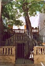 Gallipoli Corte della Biblioteca