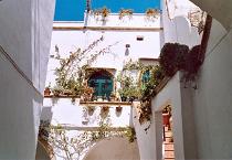 Tipica Corte a Gallipoli